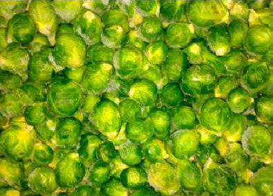 BRÜKSEL LAHANASI / BRUSSELS SPROUTS